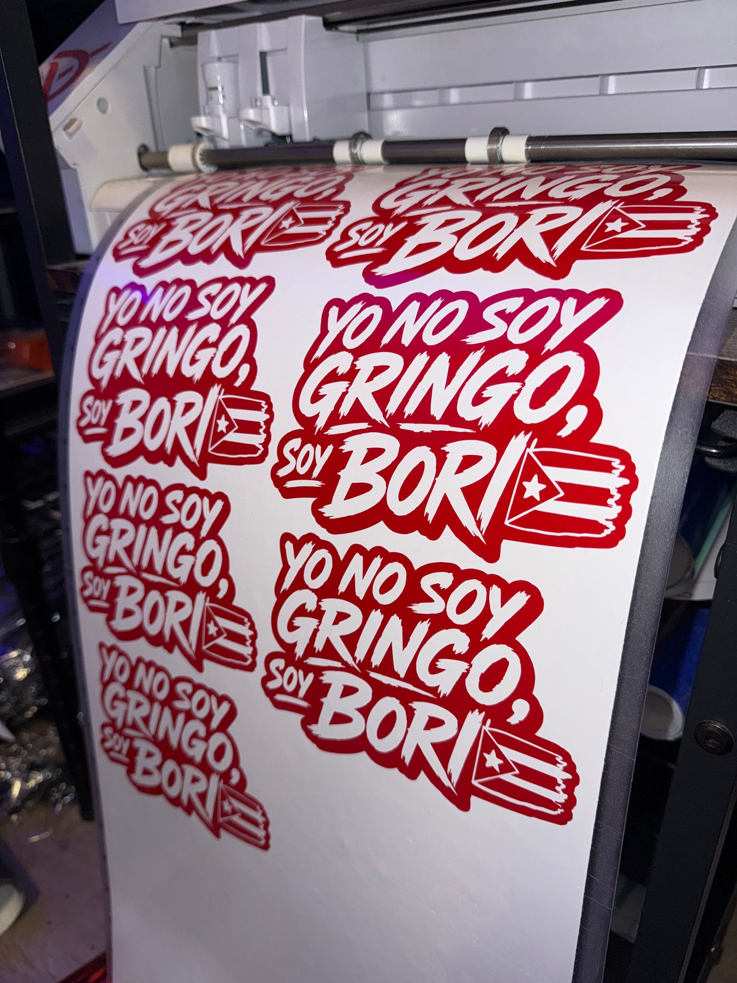 Yo no soy Gringo, Soy Bori - Vinyl Sticker (Waterproof)